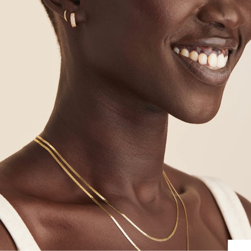 New Mejuri Serpentine Chain Necklace